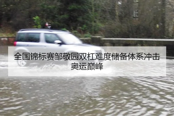 全国锦标赛邹敬园双杠难度储备体系冲击奥运巅峰
